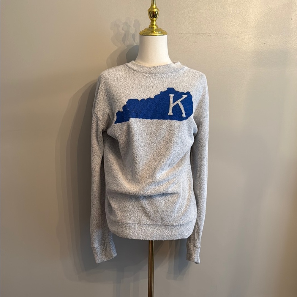 Gray and Blue Women's Sweatshirt